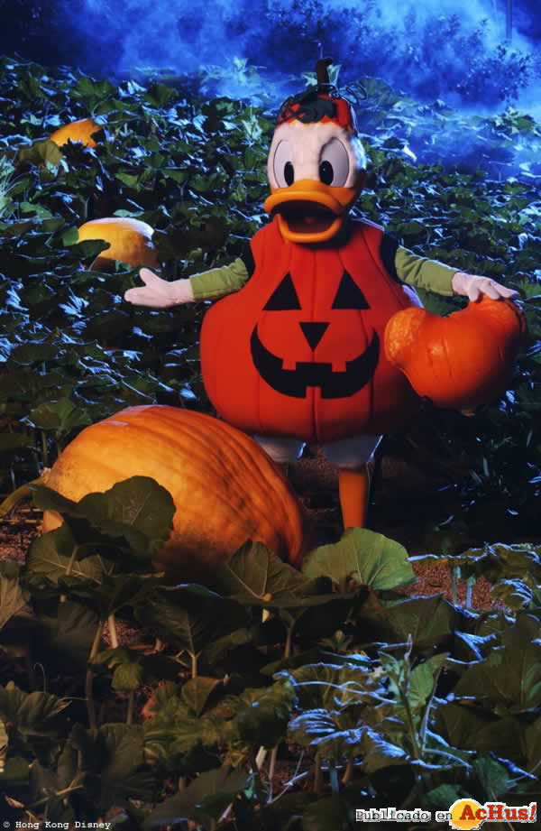 Imagen de Hong Kong Disneyland Resort  Donald Duck Halloween